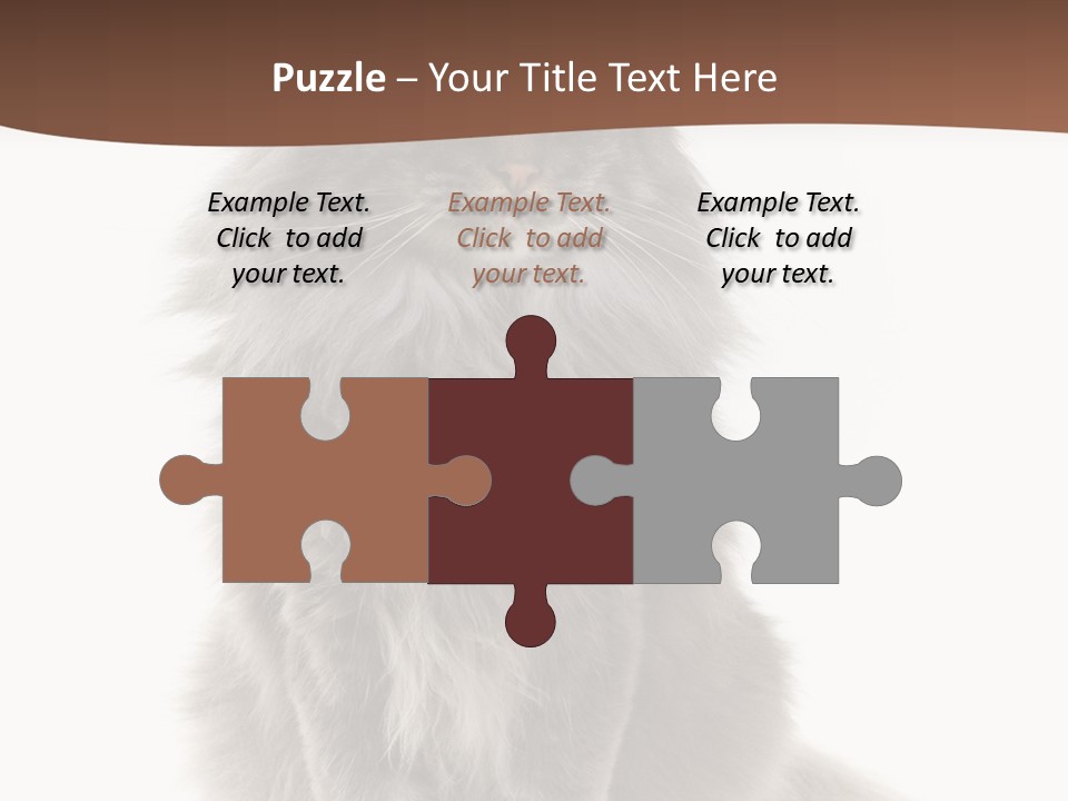 Furry Soft Cat PowerPoint Template