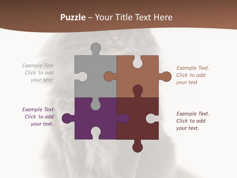 Furry Soft Cat PowerPoint Template