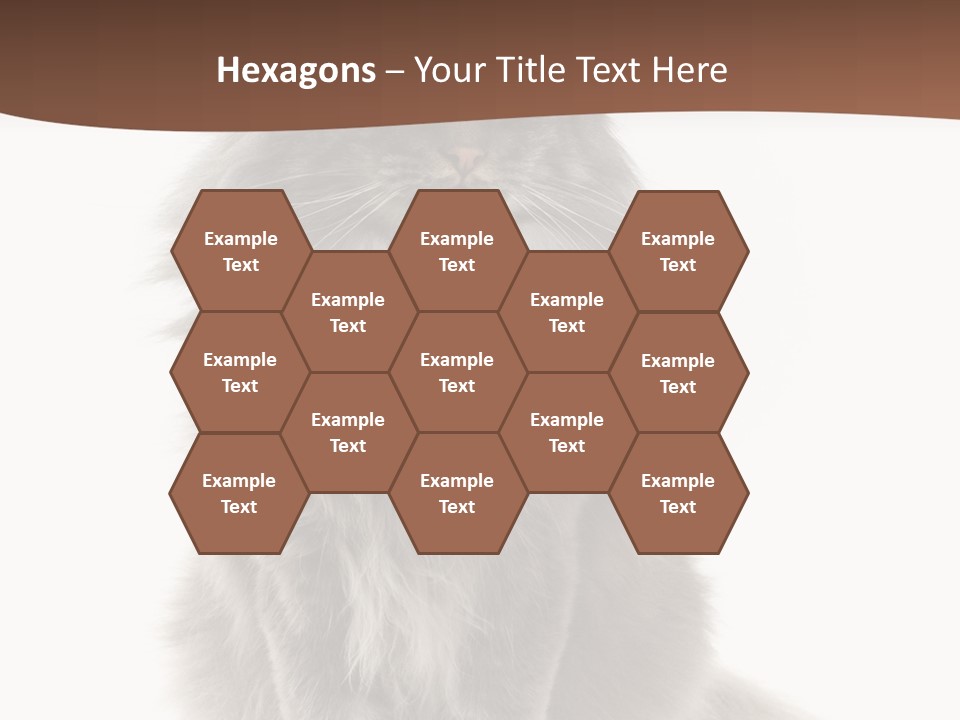 Furry Soft Cat PowerPoint Template