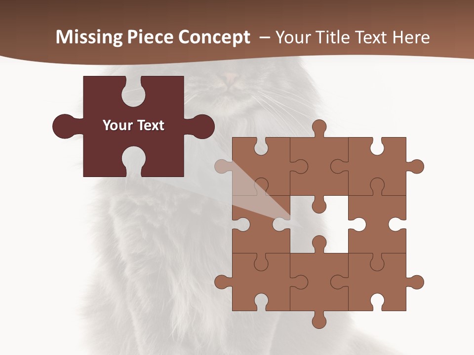 Furry Soft Cat PowerPoint Template