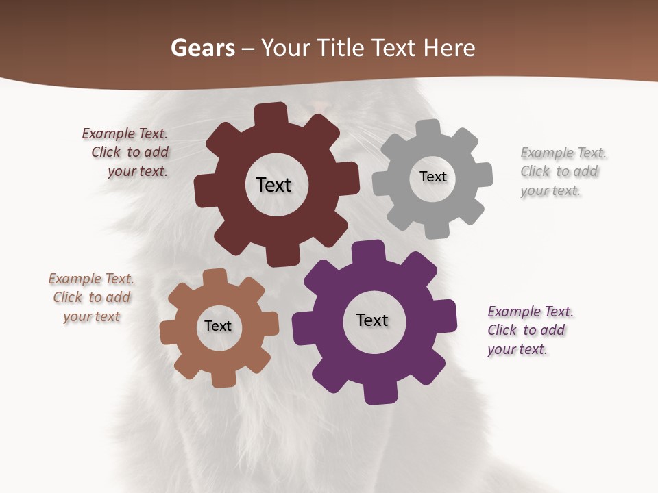 Furry Soft Cat PowerPoint Template