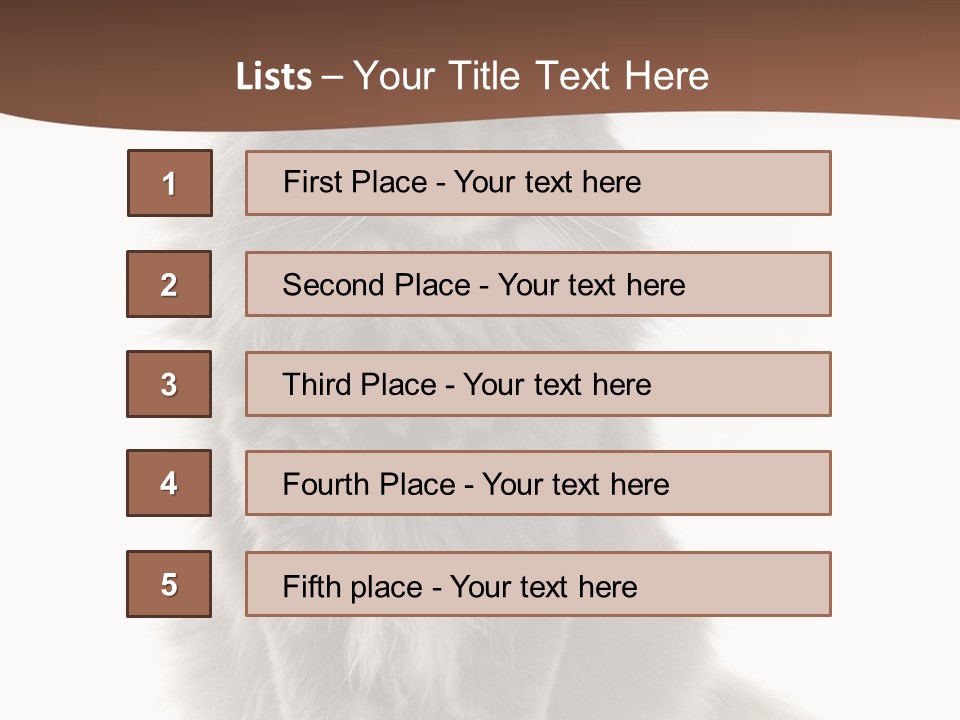 Furry Soft Cat PowerPoint Template