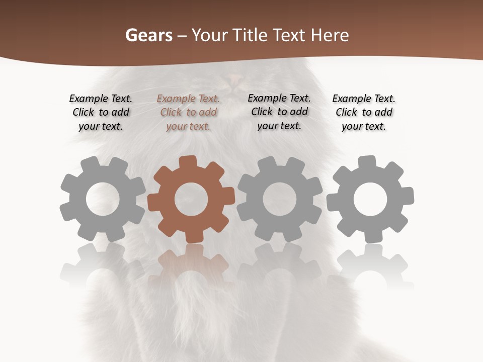 Furry Soft Cat PowerPoint Template
