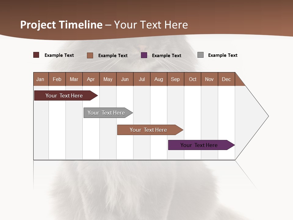 Furry Soft Cat PowerPoint Template