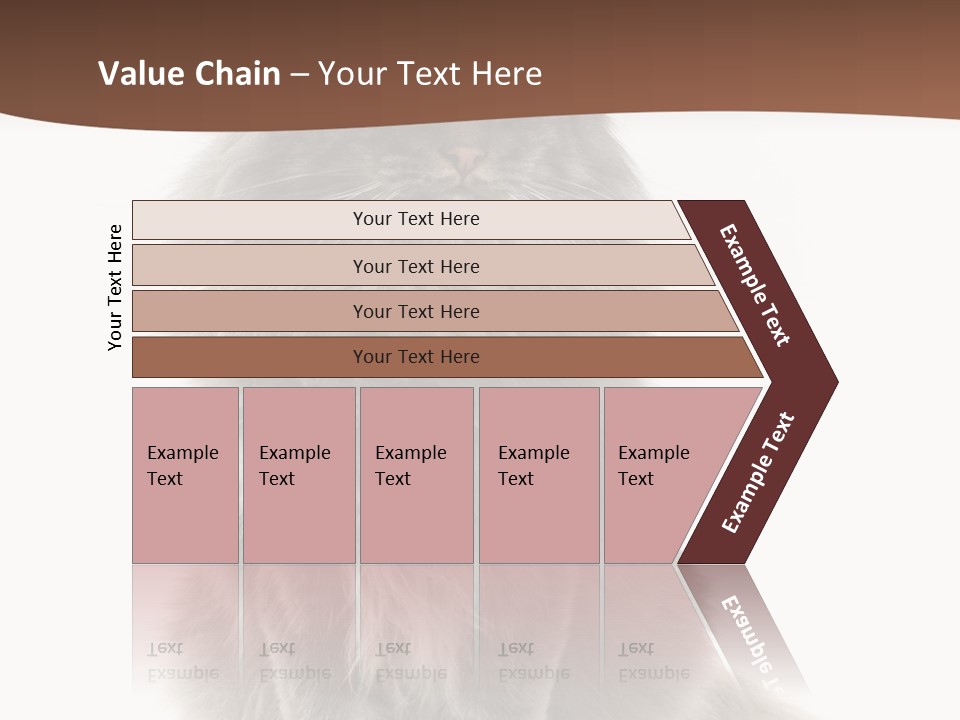 Furry Soft Cat PowerPoint Template