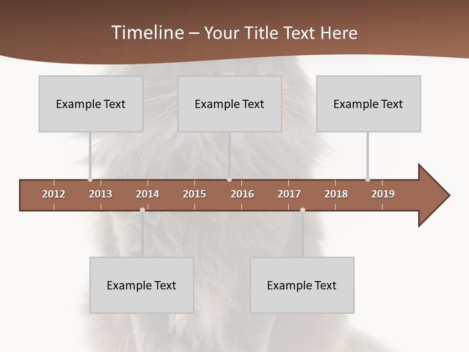 Furry Soft Cat PowerPoint Template