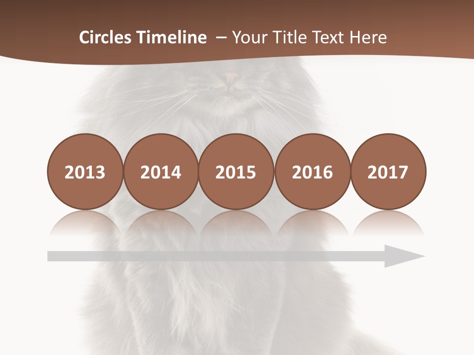 Furry Soft Cat PowerPoint Template