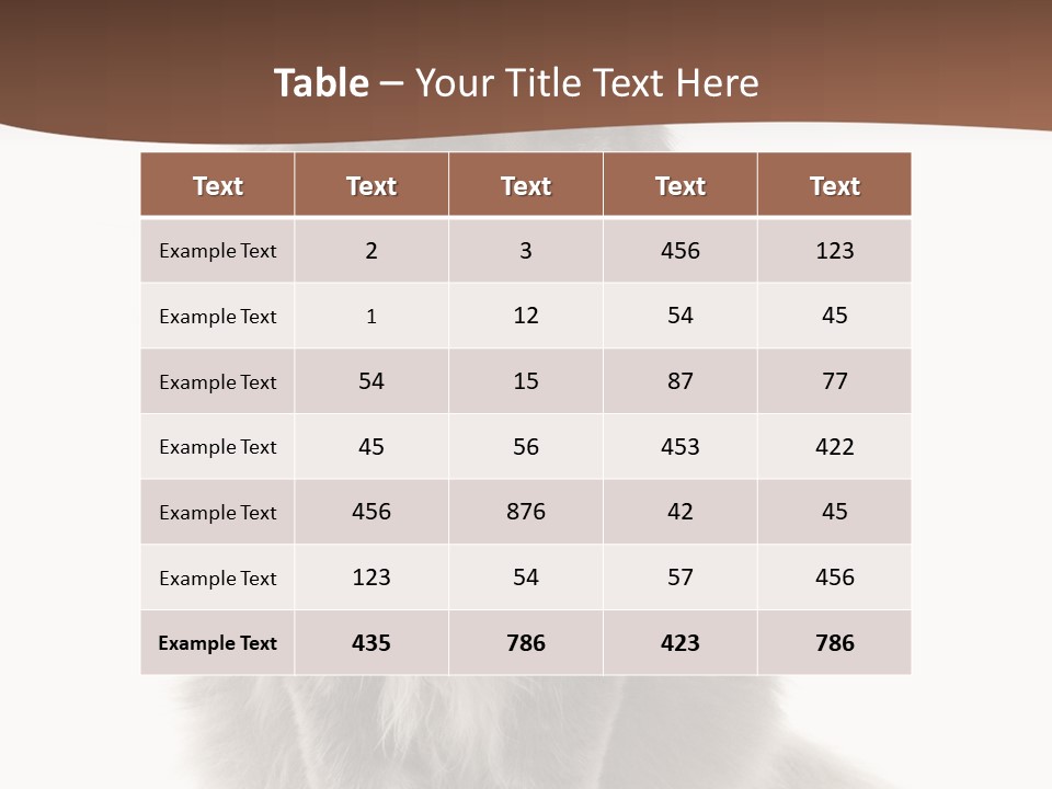 Furry Soft Cat PowerPoint Template