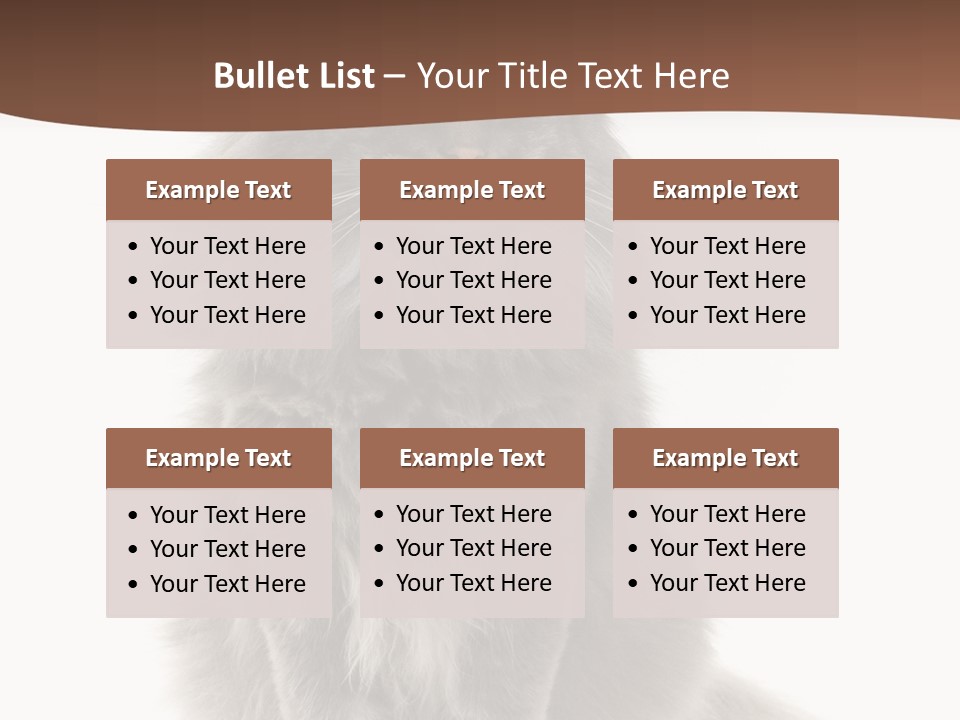 Furry Soft Cat PowerPoint Template