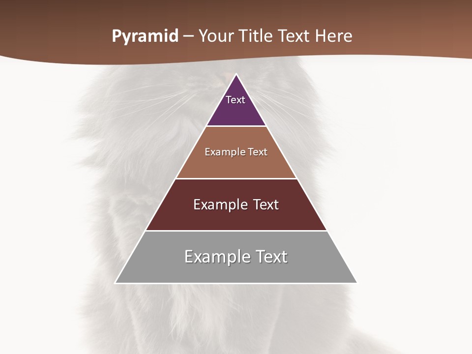 Furry Soft Cat PowerPoint Template