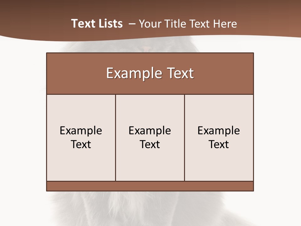 Furry Soft Cat PowerPoint Template