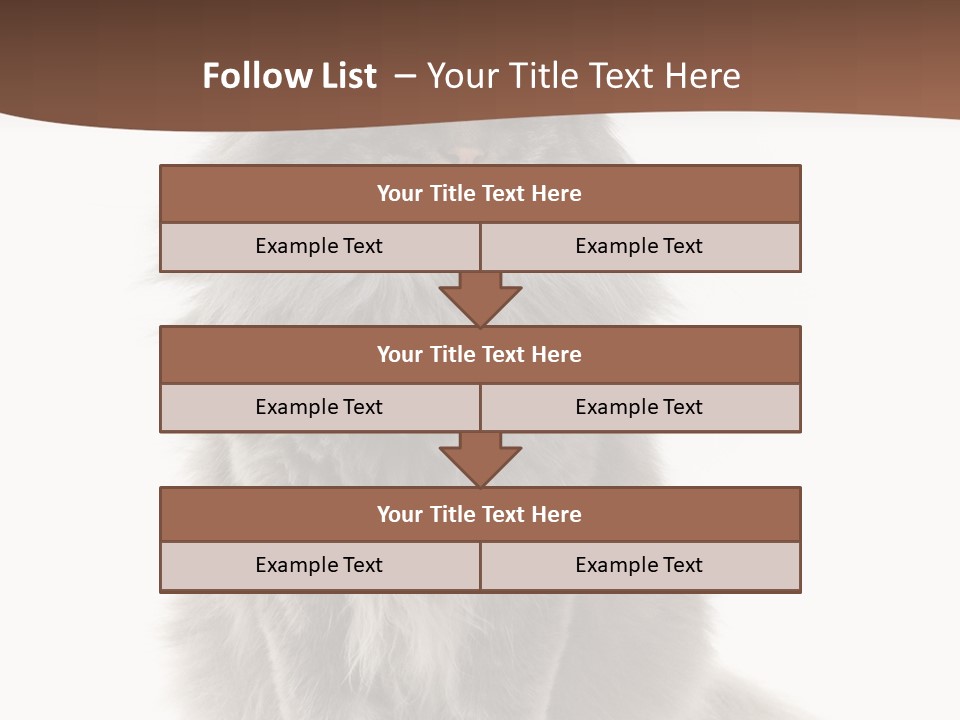 Furry Soft Cat PowerPoint Template