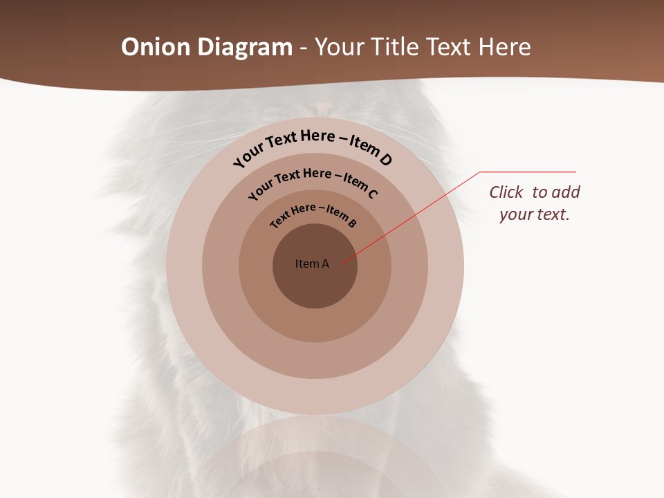 Furry Soft Cat PowerPoint Template