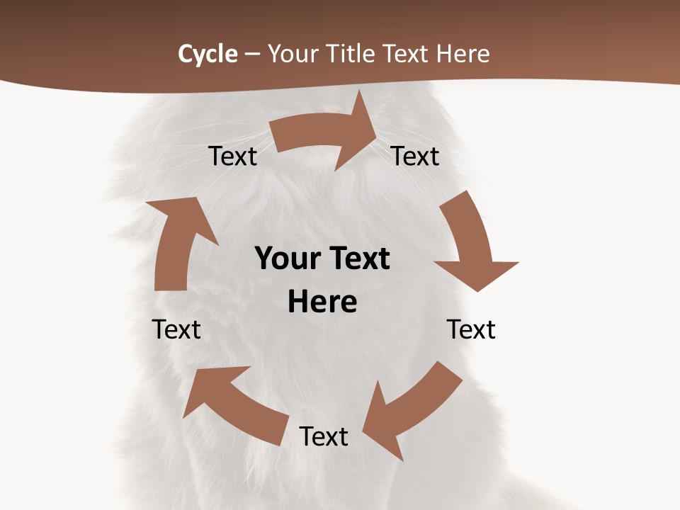 Furry Soft Cat PowerPoint Template