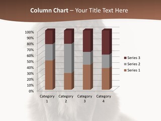 Furry Soft Cat PowerPoint Template