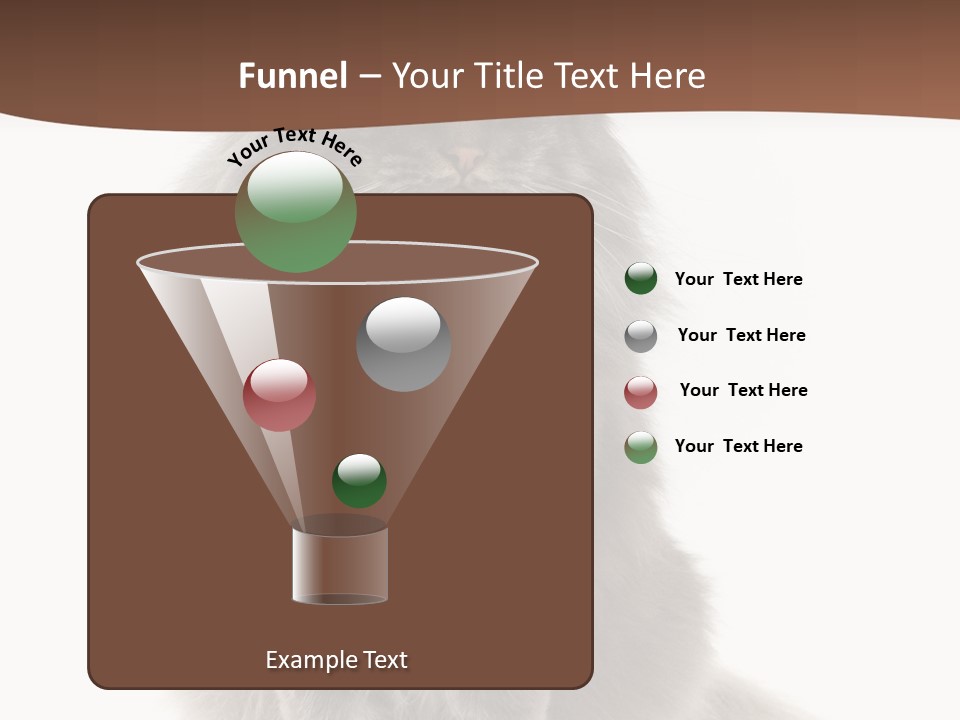 Furry Soft Cat PowerPoint Template