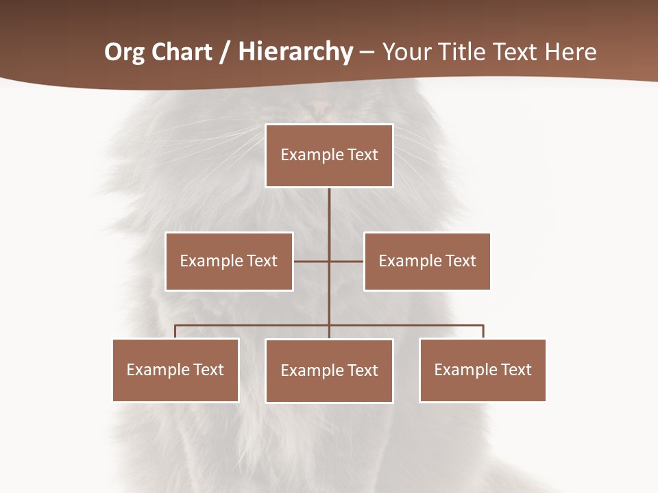 Furry Soft Cat PowerPoint Template