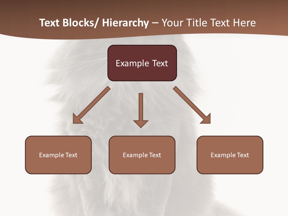 Furry Soft Cat PowerPoint Template