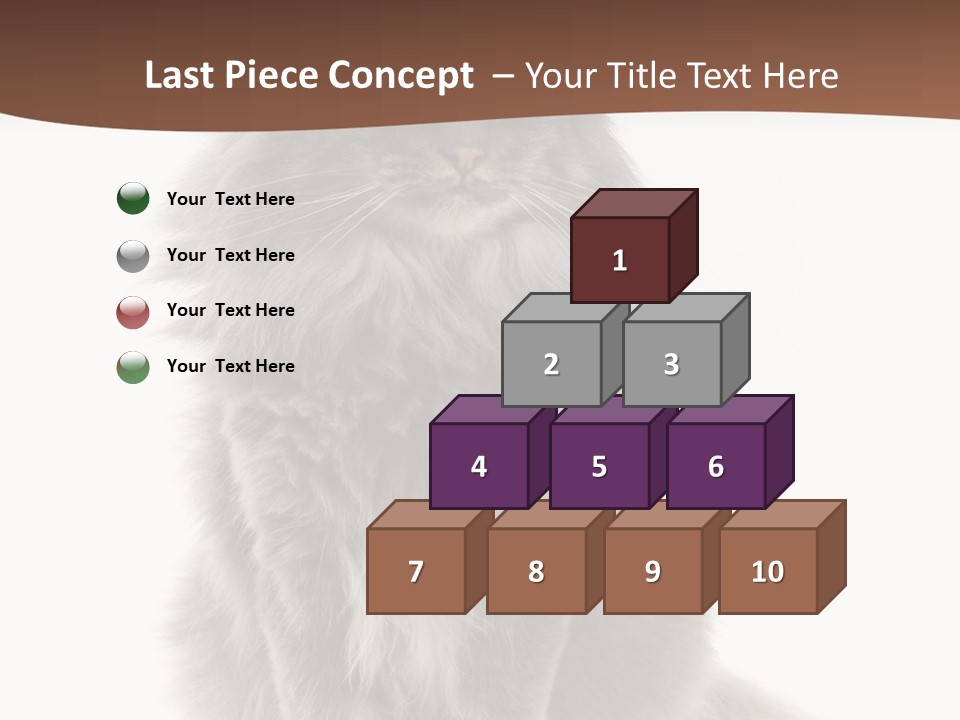 Furry Soft Cat PowerPoint Template