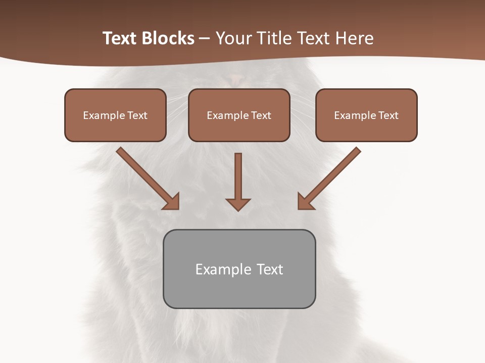 Furry Soft Cat PowerPoint Template