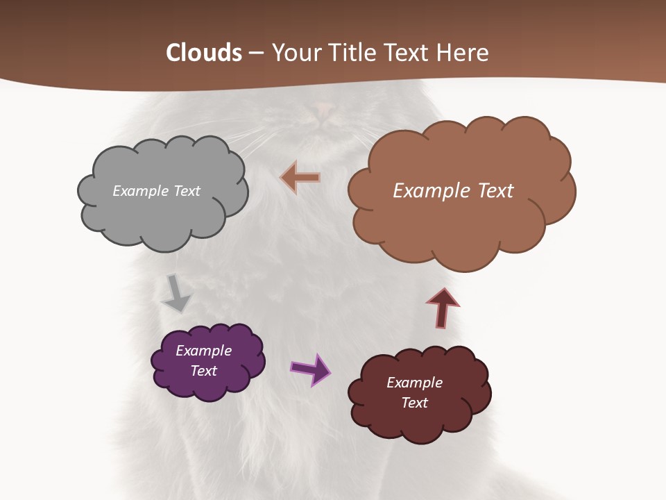 Furry Soft Cat PowerPoint Template