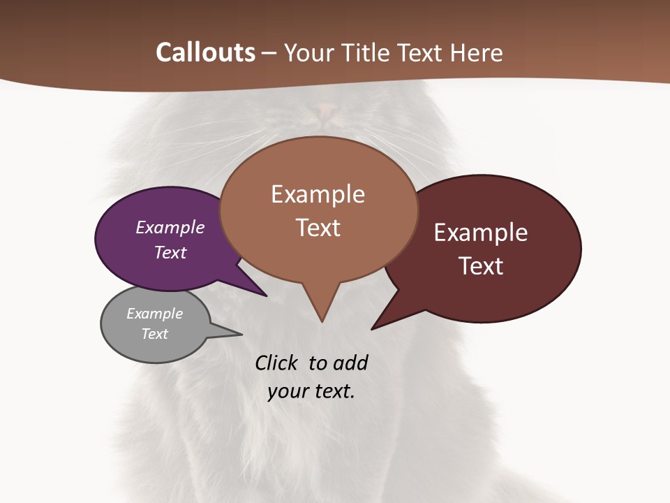Furry Soft Cat PowerPoint Template