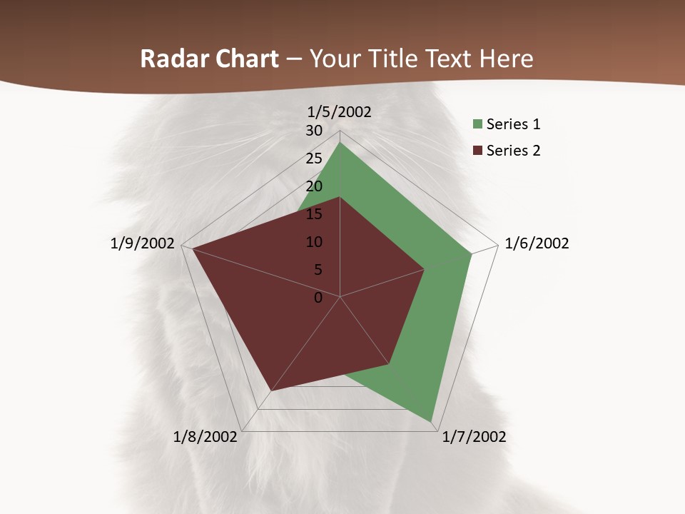 Furry Soft Cat PowerPoint Template