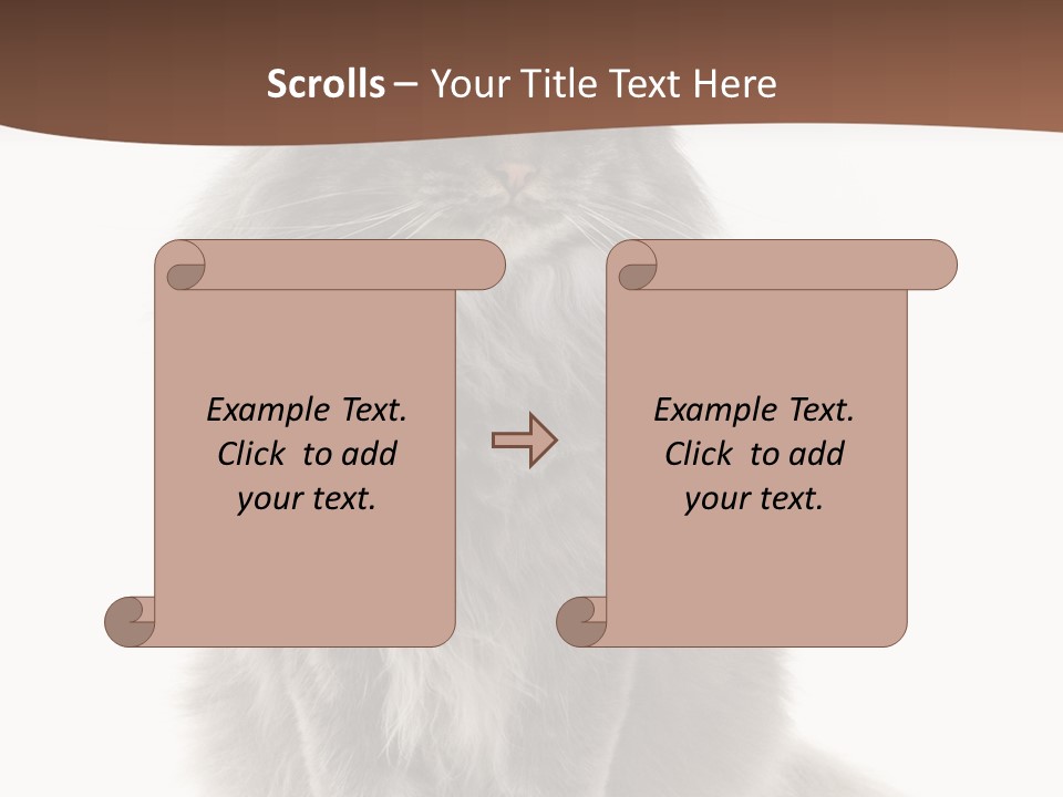 Furry Soft Cat PowerPoint Template