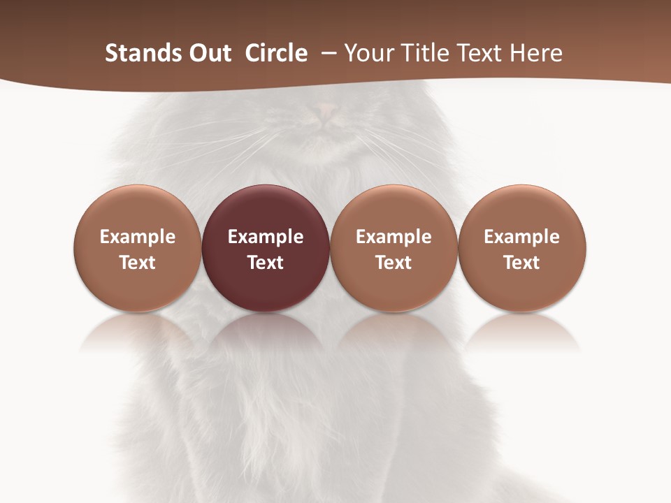 Furry Soft Cat PowerPoint Template
