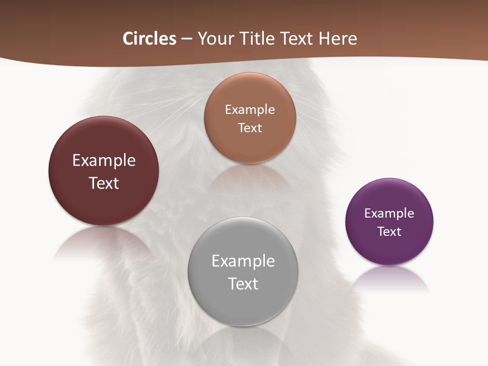 Furry Soft Cat PowerPoint Template