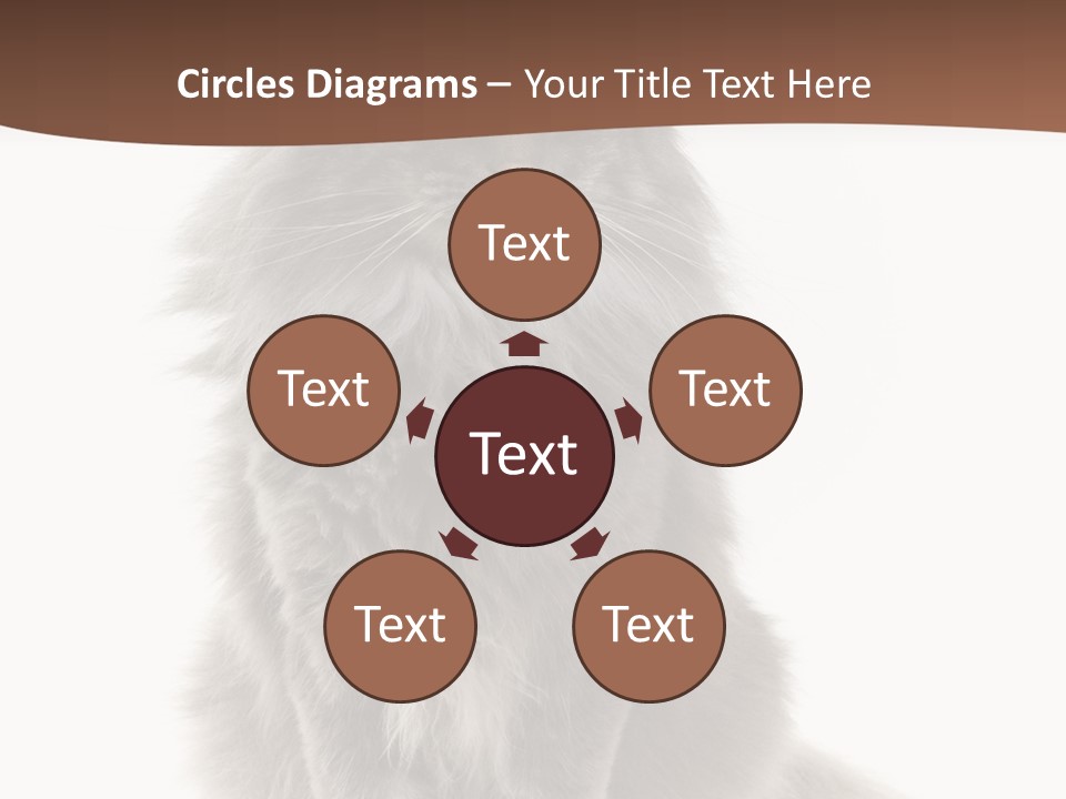 Furry Soft Cat PowerPoint Template