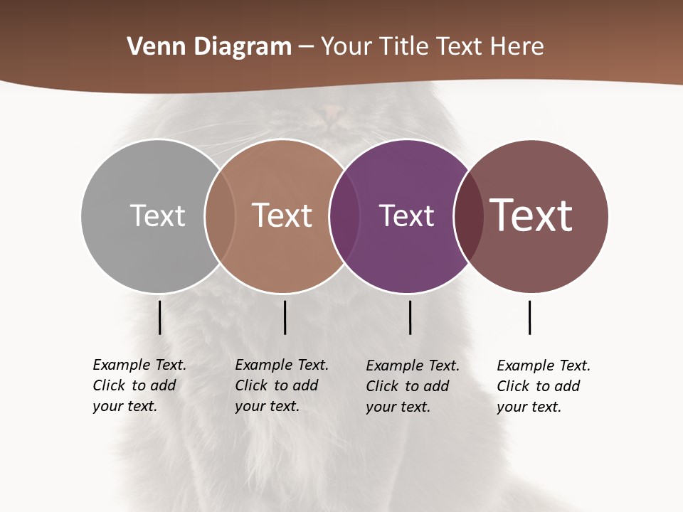 Furry Soft Cat PowerPoint Template