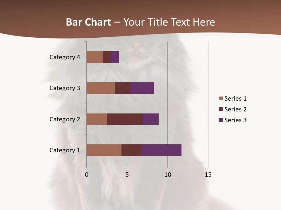 Furry Soft Cat PowerPoint Template