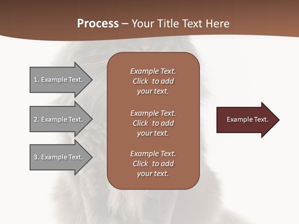 Furry Soft Cat PowerPoint Template