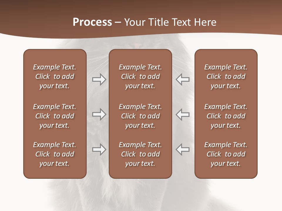 Furry Soft Cat PowerPoint Template