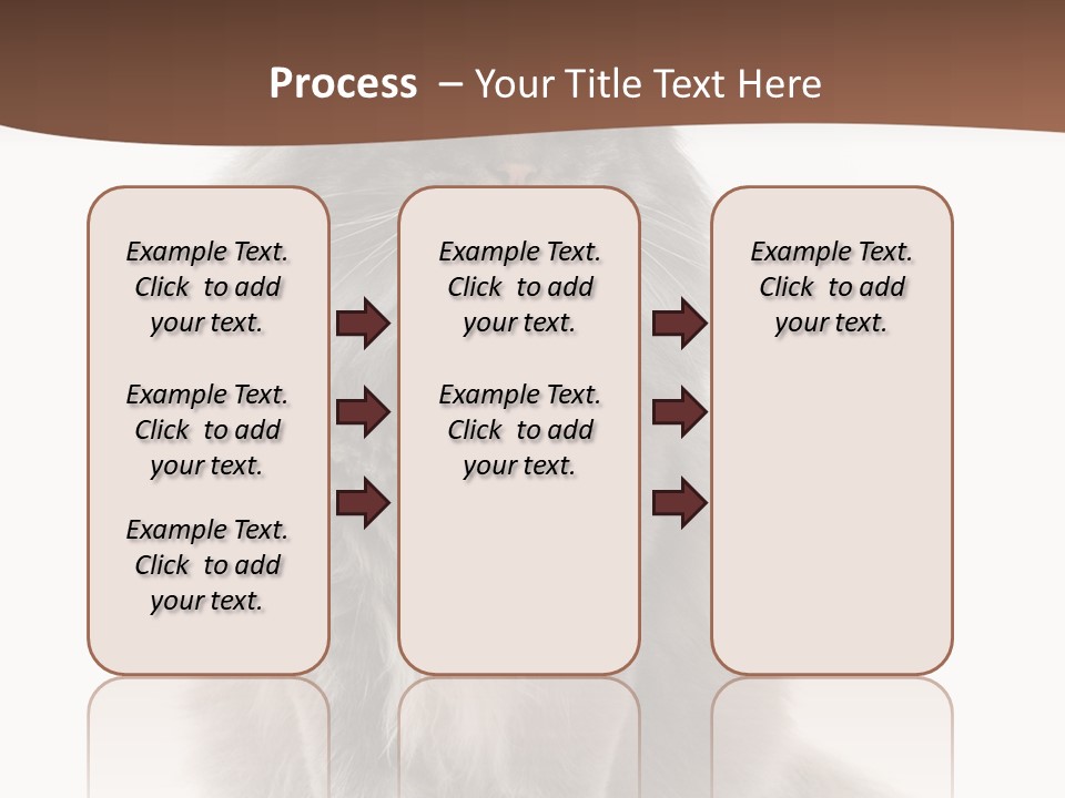 Furry Soft Cat PowerPoint Template