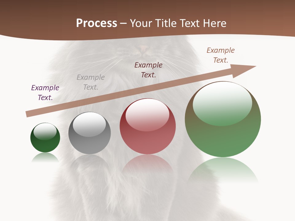 Furry Soft Cat PowerPoint Template