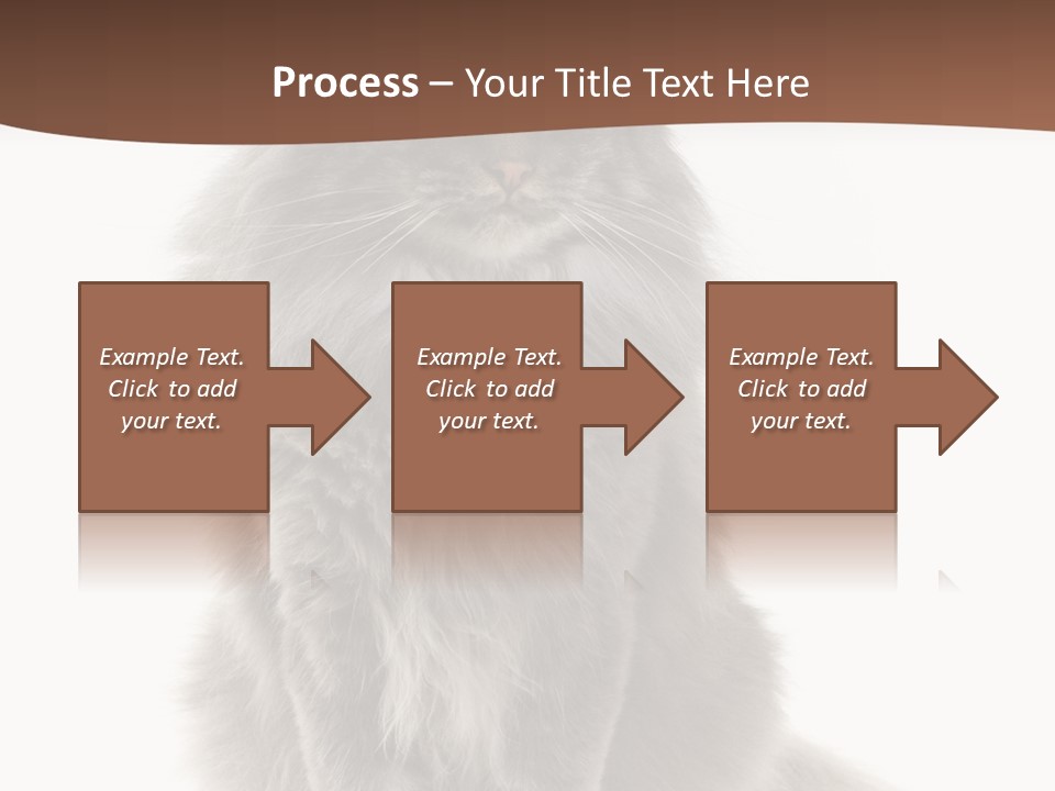 Furry Soft Cat PowerPoint Template