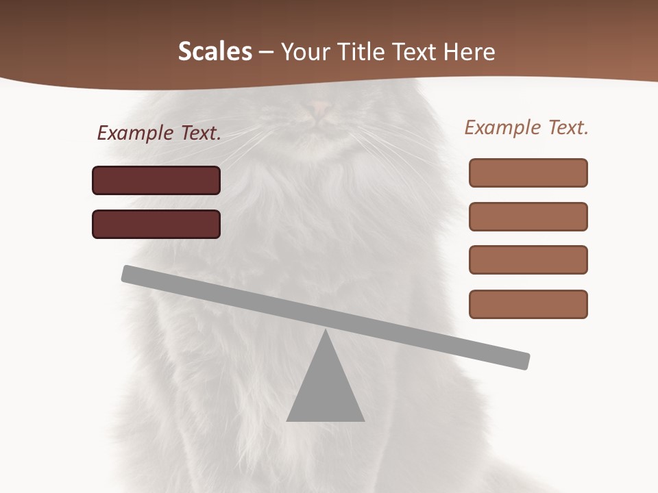 Furry Soft Cat PowerPoint Template