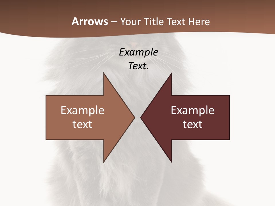 Furry Soft Cat PowerPoint Template