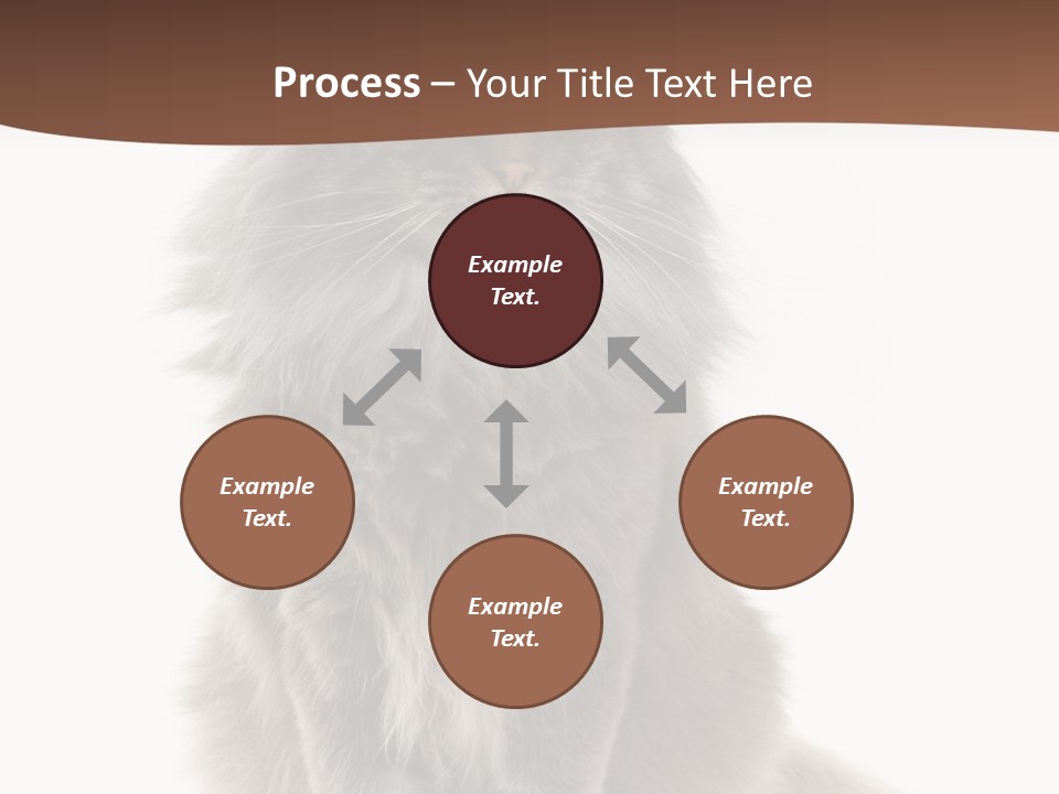 Furry Soft Cat PowerPoint Template