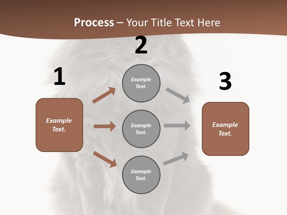 Furry Soft Cat PowerPoint Template
