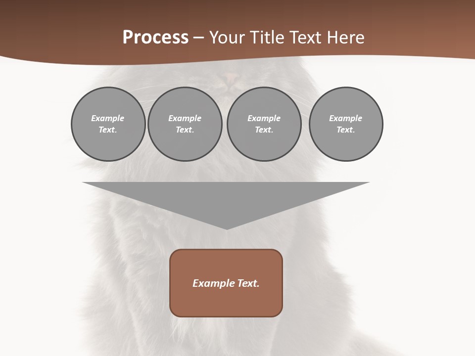 Furry Soft Cat PowerPoint Template