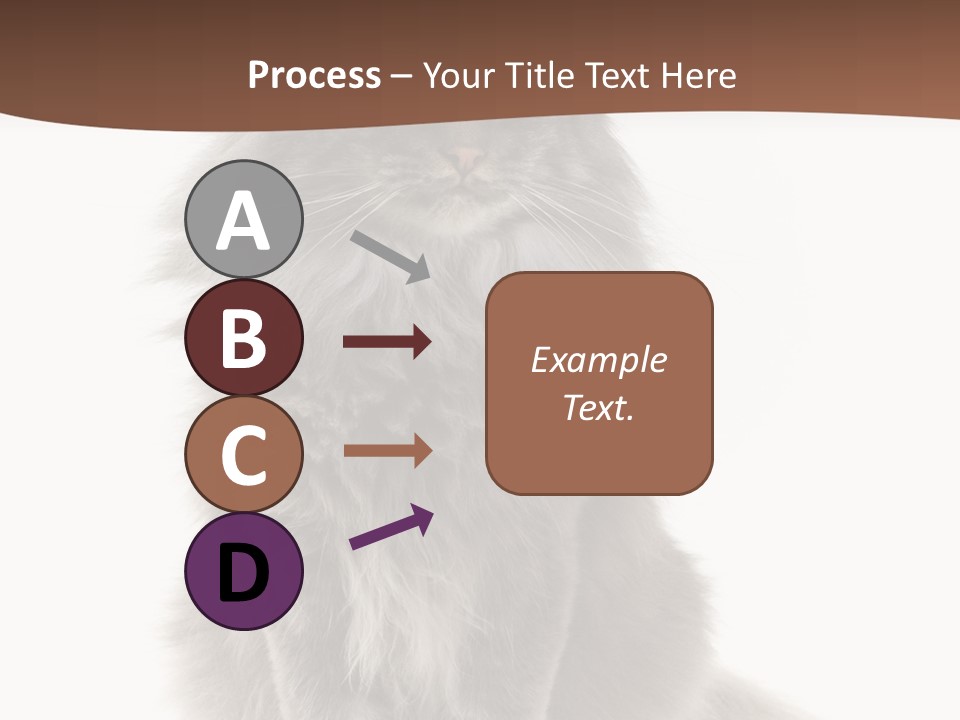 Furry Soft Cat PowerPoint Template