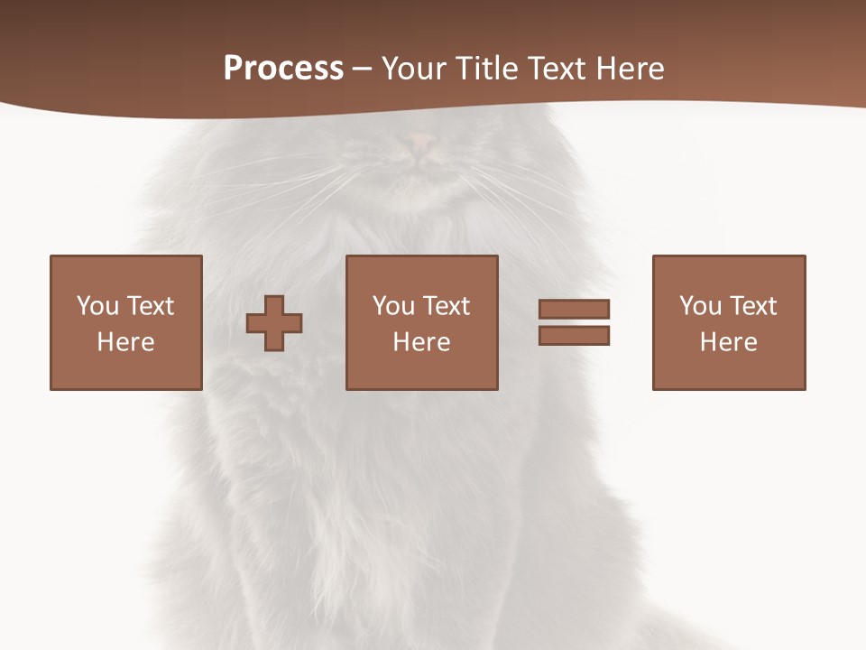 Furry Soft Cat PowerPoint Template
