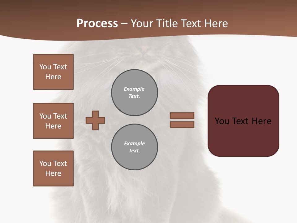 Furry Soft Cat PowerPoint Template