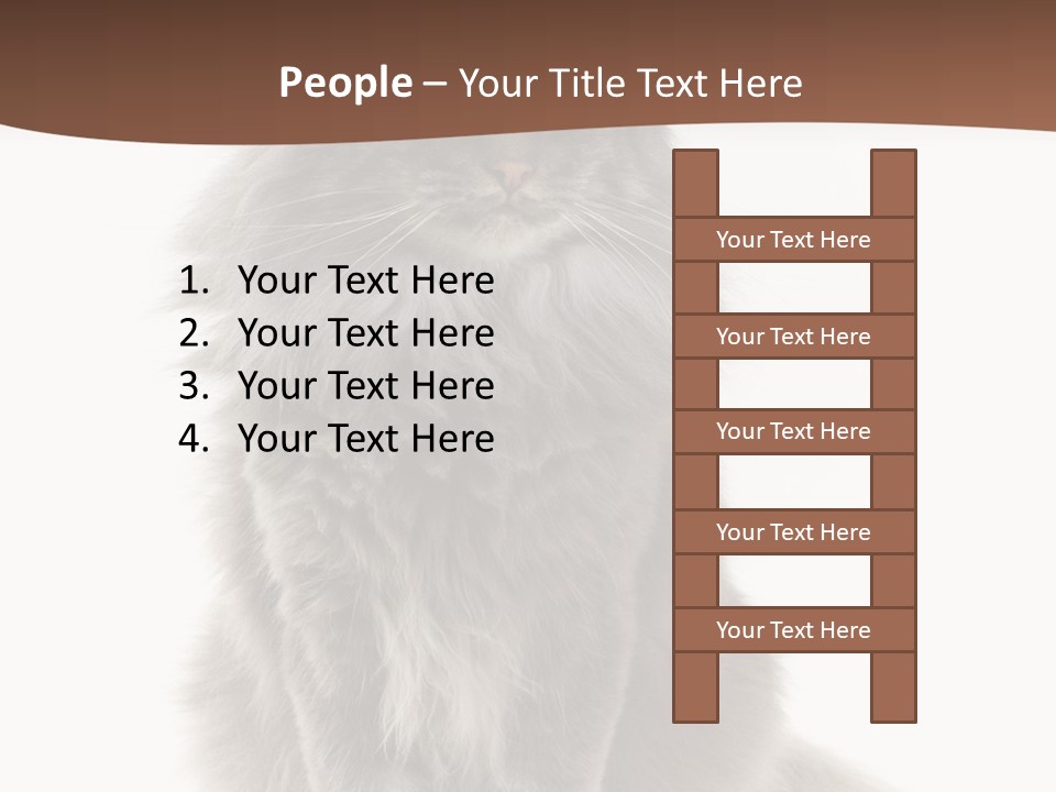 Furry Soft Cat PowerPoint Template