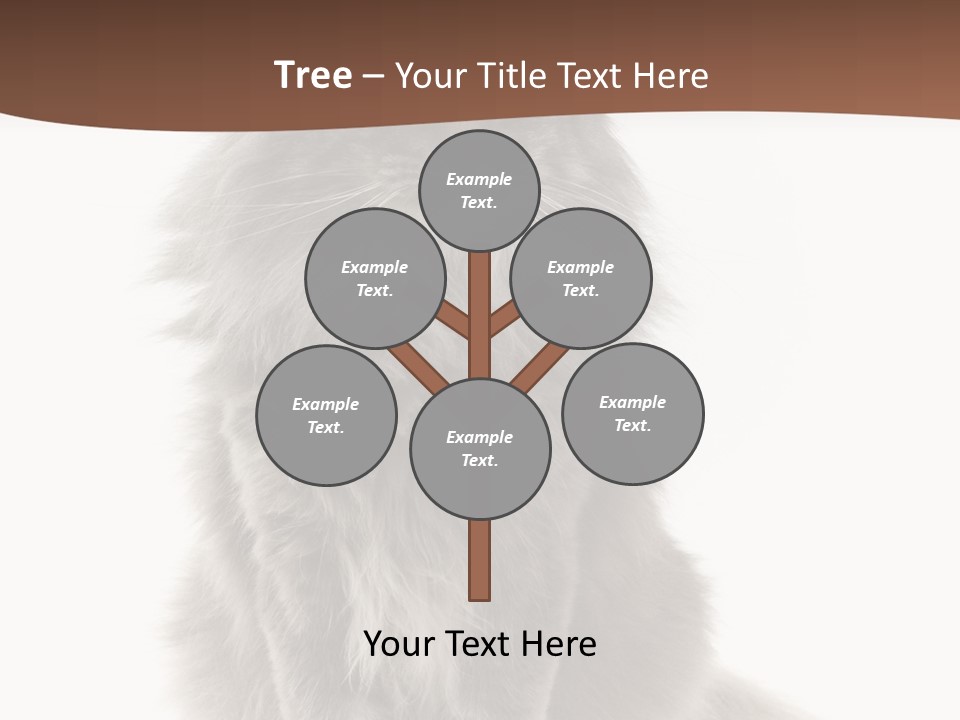 Furry Soft Cat PowerPoint Template