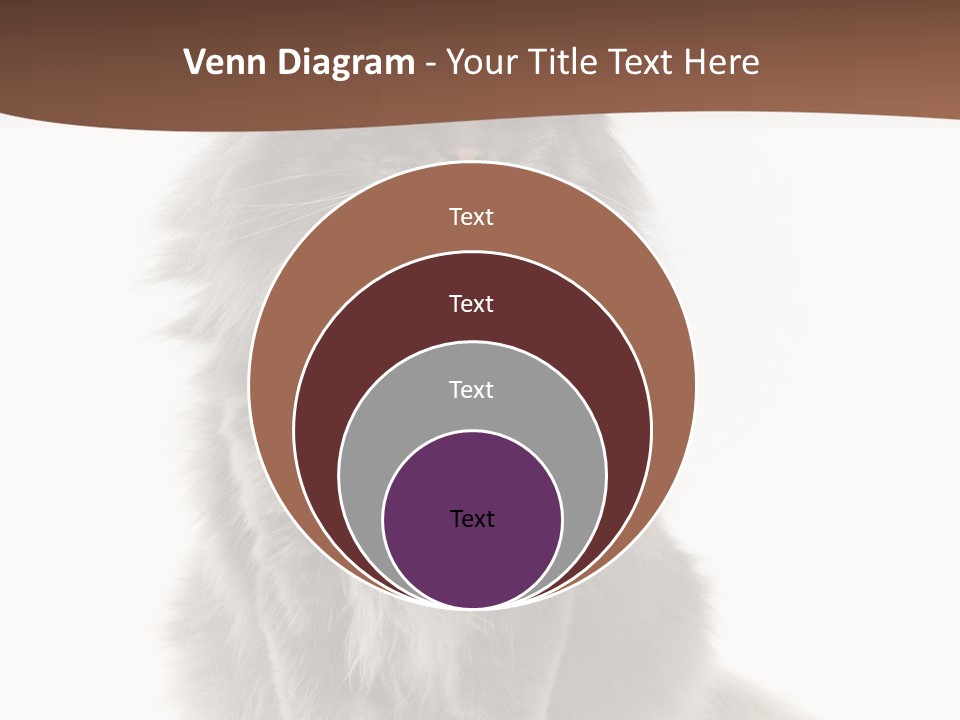 Furry Soft Cat PowerPoint Template