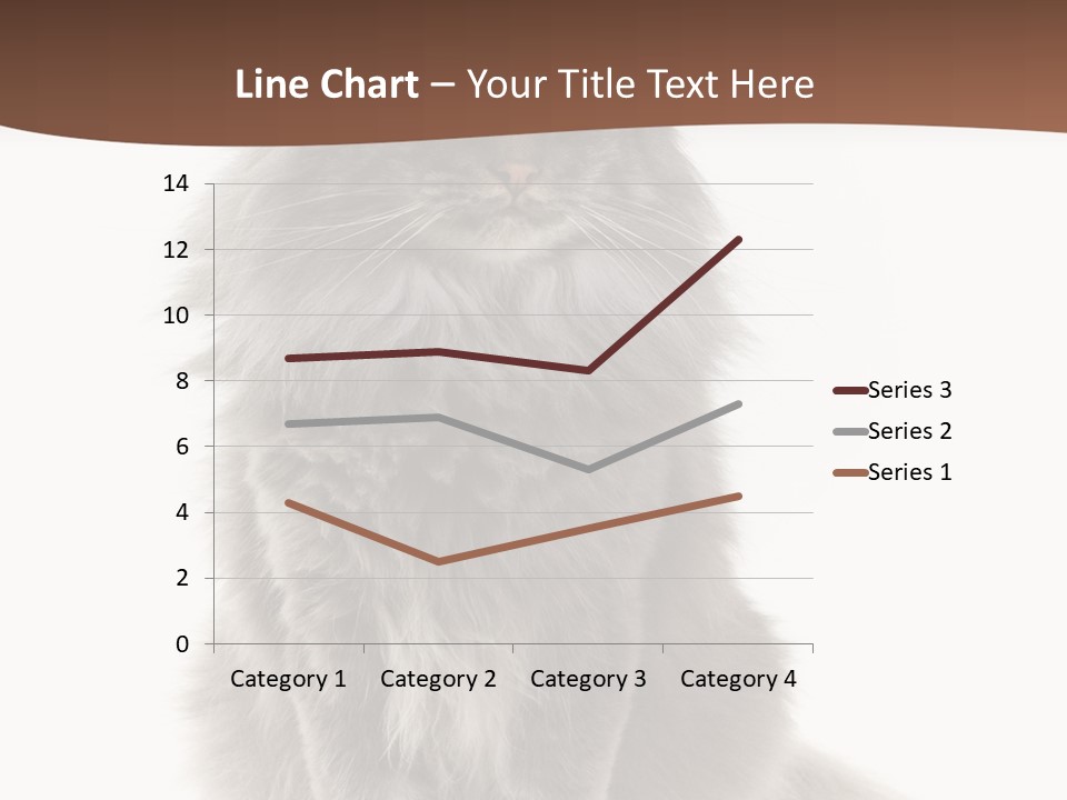 Furry Soft Cat PowerPoint Template